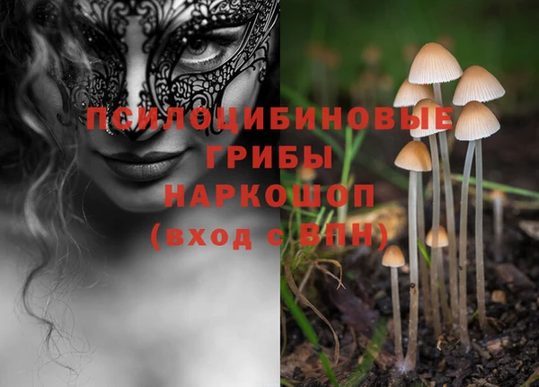 марки lsd Ладушкин