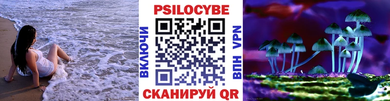 Галлюциногенные грибы прущие грибы  Тейково 