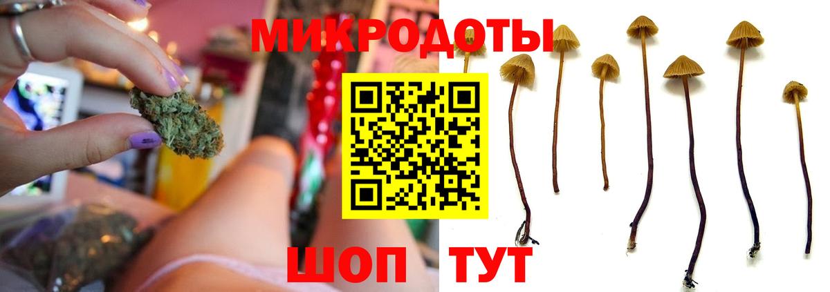 Галлюциногенные грибы Psilocybine cubensis Тейково